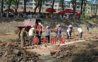 南湖公園草坪播種工程案例