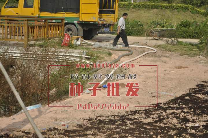 施工場(chǎng)地自動(dòng)噴淋安裝