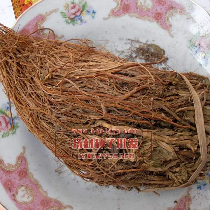 龍膽草功效作用