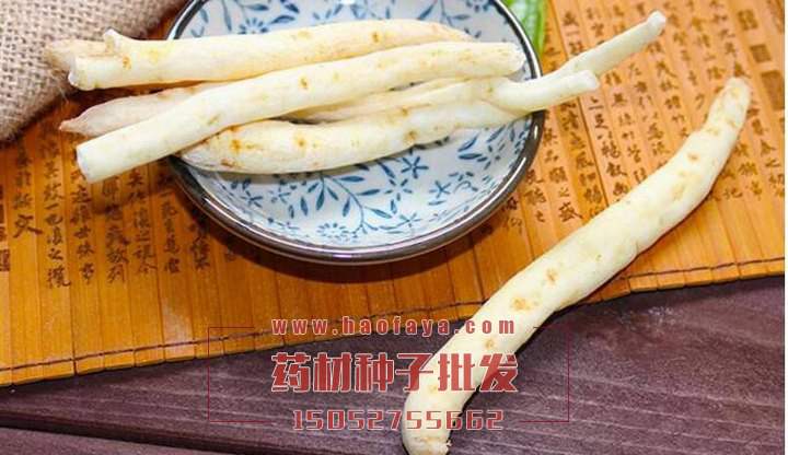 南沙參功效作用