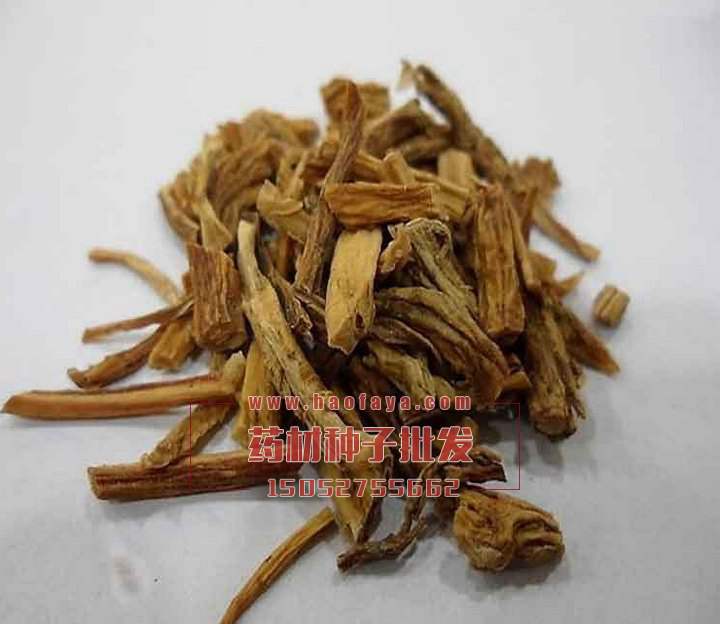 秦艽功效與作用