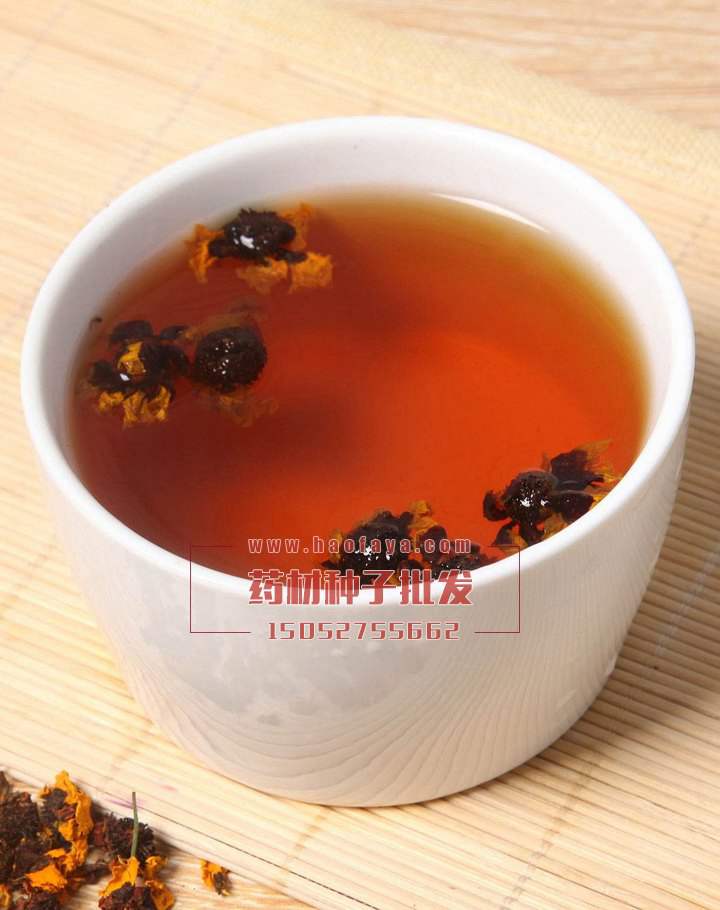 昆侖雪菊功效及作用