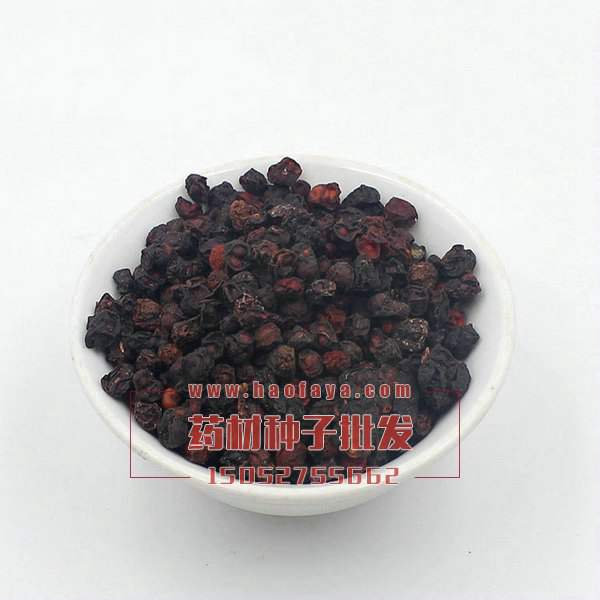 五味子種子