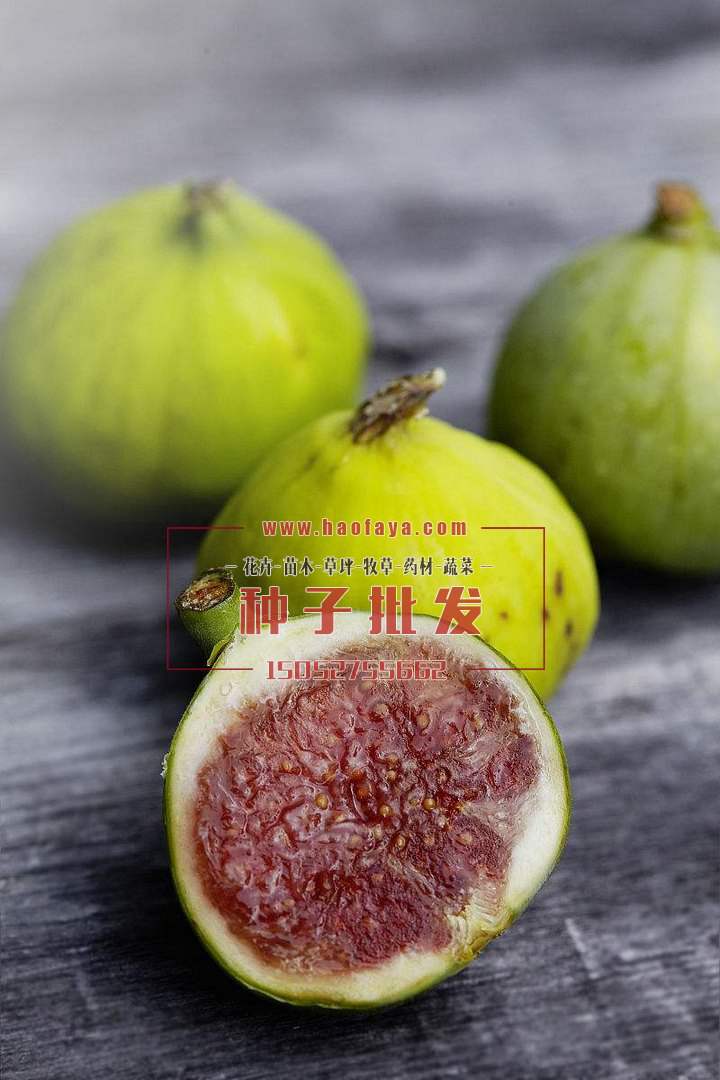 無(wú)花果功效作用