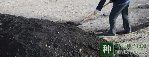 如何進行土壤改良？